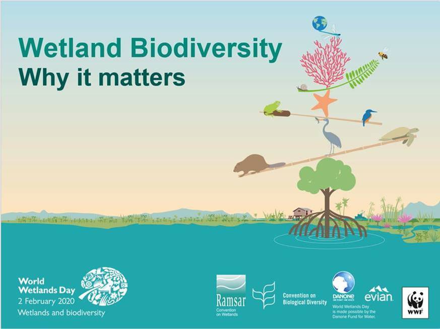 World Wetlands Day - Waikato Biodiversity Forum